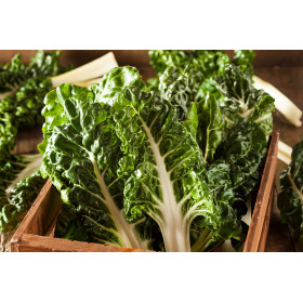 Poirée blonde à carde blanche 