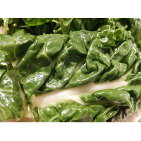 Poirée blonde à carde blanche  2