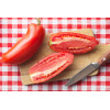 Tomate san marzano 