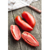 Tomate san marzano 