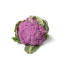 Chou fleur violet de Sicile 