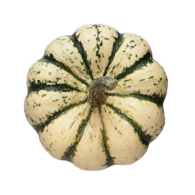 Courge sweet dumpling patidou  2