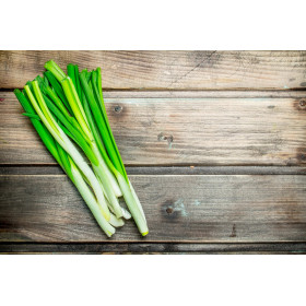 Oignon tige ishikura long white  2