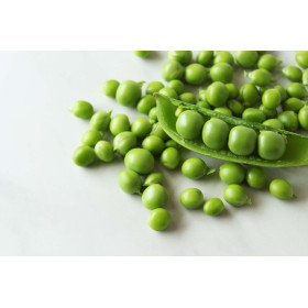 Pois à rames roi des conserves  2