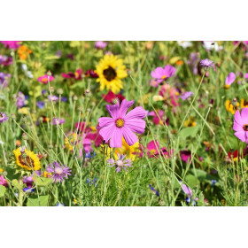 Mélange de fleurs répulsives limaces 