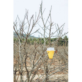 Accessoires Piège à guèpes | Graines de Style 2