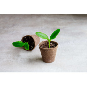 Godet tourbe rond diam 8mm x 18  2