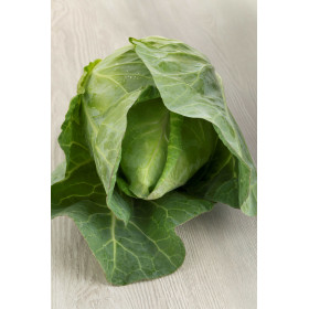 Graines de Chou Cabus Cœur de Bœuf moyen | Graines de Style