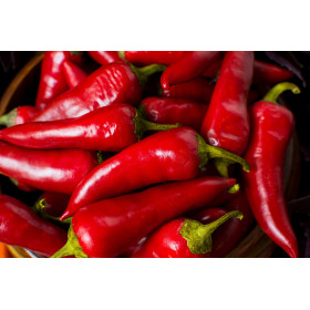 Graines de Piment jalapeno Mexicain