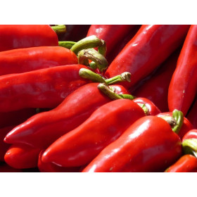 Graines de Piment jalapeno Mexicain 2