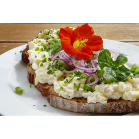 Kit Fleurs comestibles