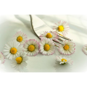 Kit Fleurs comestibles 2