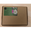 Kit Fleurs comestibles