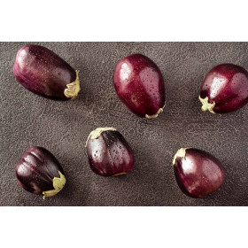 Aubergine ronde de Valence 