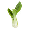 Chou de Chine Pak Choi 