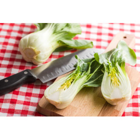 Chou de Chine Pak Choi  2