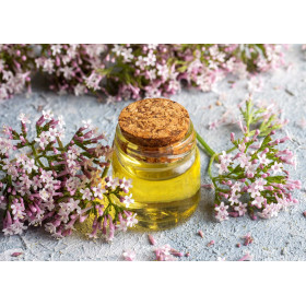 Valeriane Officinale  2