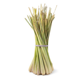 Citronnelle du Gabon - Cymbopogon citratus  2