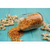 Maïs à éclater pour Pop Corn 