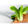 Chou de Chine Pak Choi 