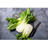 Chou de Chine Pak Choi 