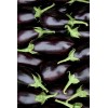 Graines d'Aubergine Bonica