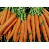 Carotte Amélioré 1/2 longue nantaise