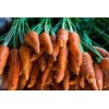 Graines de Carotte 1/2 longue Chantenay