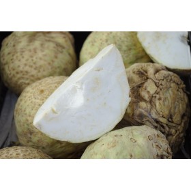 Céléri rave  Géant de Prague