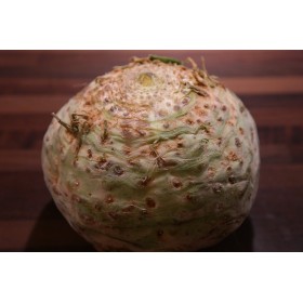 Céléri rave  Géant de Prague 2