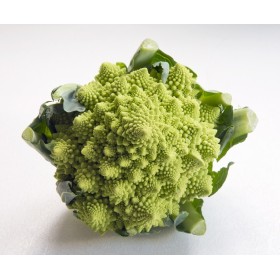 Chou brocolis Romanesco 2