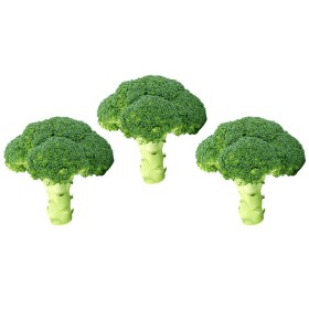 Chou brocolis Vert Calabrais