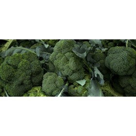 Chou brocolis Vert Calabrais 2