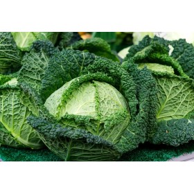 Chou de Milan  D'Aubervilliers