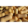 Graines de courge butternut Waltham
