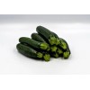 Graines de Courgette Black beauty