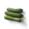 Graines de Courgette Verte non coureuse des maraîchers