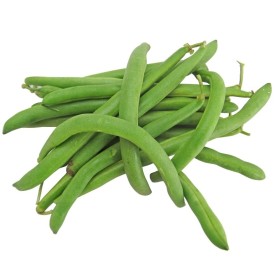 Haricot nain Mangetout princesse double de Hollande