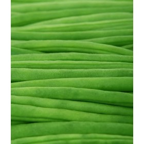 Haricot nain A filet Talisman 2