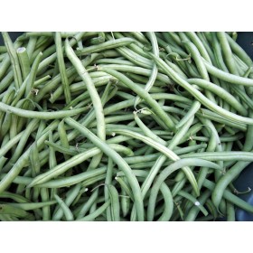 Haricots nain Mangetout braimar