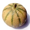 Melon Cantaloup charentais