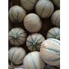 Graines de Melon Cantaloup charentais