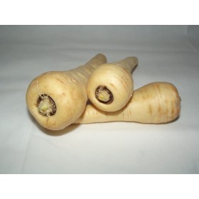 Panais 1/2 long Guernesey