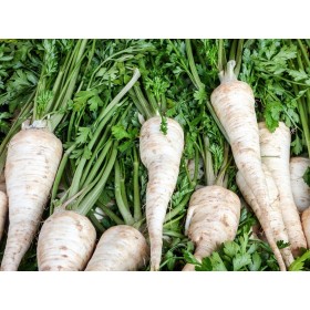 Panais 1/2 long Guernesey 2