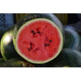 Pastèque Sugar baby