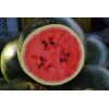 Pastèque Sugar baby