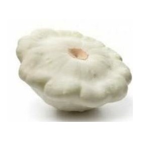 Patisson Courgette patisson blanc