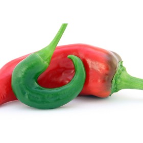 Piment Doux des Landes 2