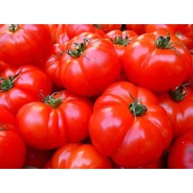 Tomate Marmande