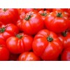 Tomate Marmande